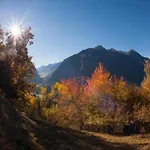 Lejlighed Scenic In Location