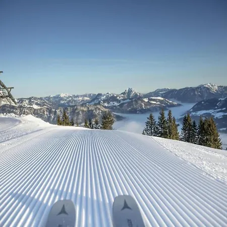 Apartment Scenic In Location