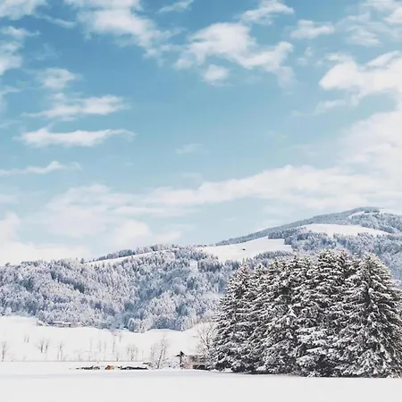 Scenic In Location Neustift im Stubaital