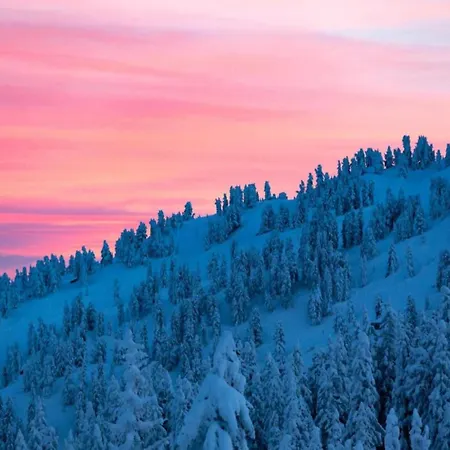 Scenic In Location Neustift im Stubaital