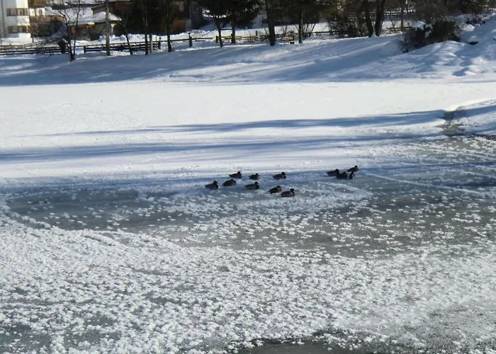 Appartamento Scenic In Location Neustift im Stubaital