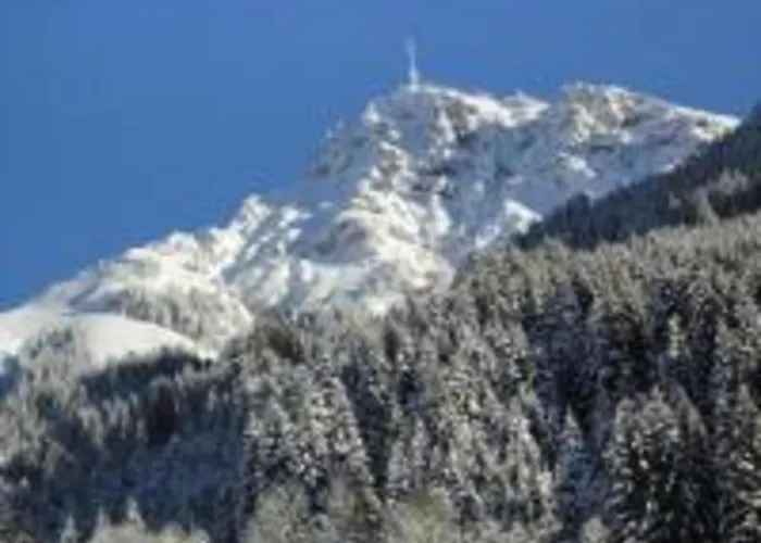 Appartamento Scenic In Location Neustift im Stubaital